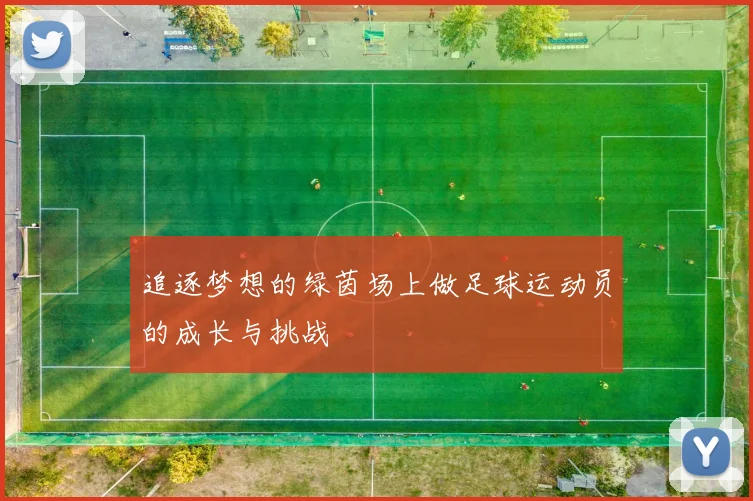 追逐梦想的绿茵场上做足球运动员的成长与挑战