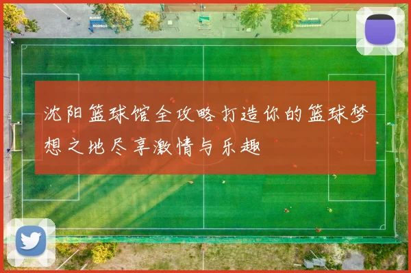 沈阳篮球馆全攻略打造你的篮球梦想之地尽享激情与乐趣