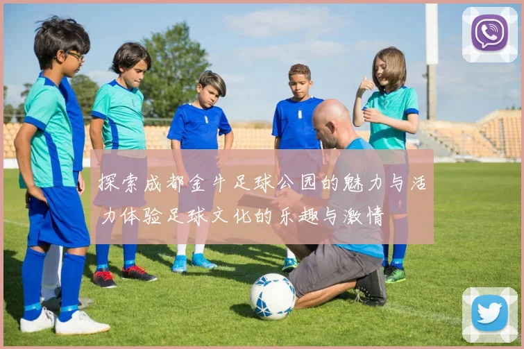 探索成都金牛足球公园的魅力与活力体验足球文化的乐趣与激情